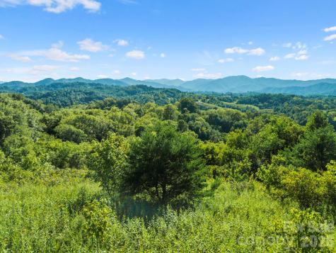 1231 Baileys Branch Road Marshall NC 28753