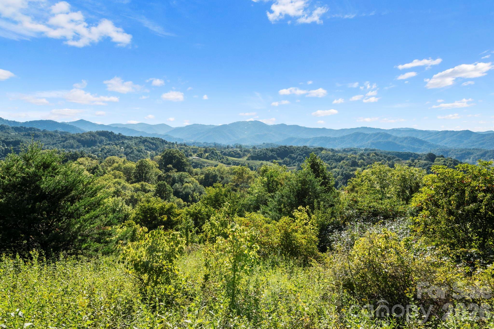 1231 Baileys Branch Road Marshall NC 28753