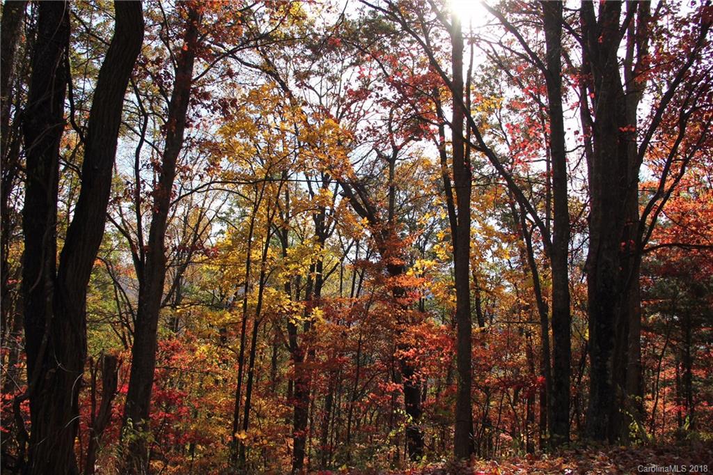 17 Elk Trail Asheville NC 28804