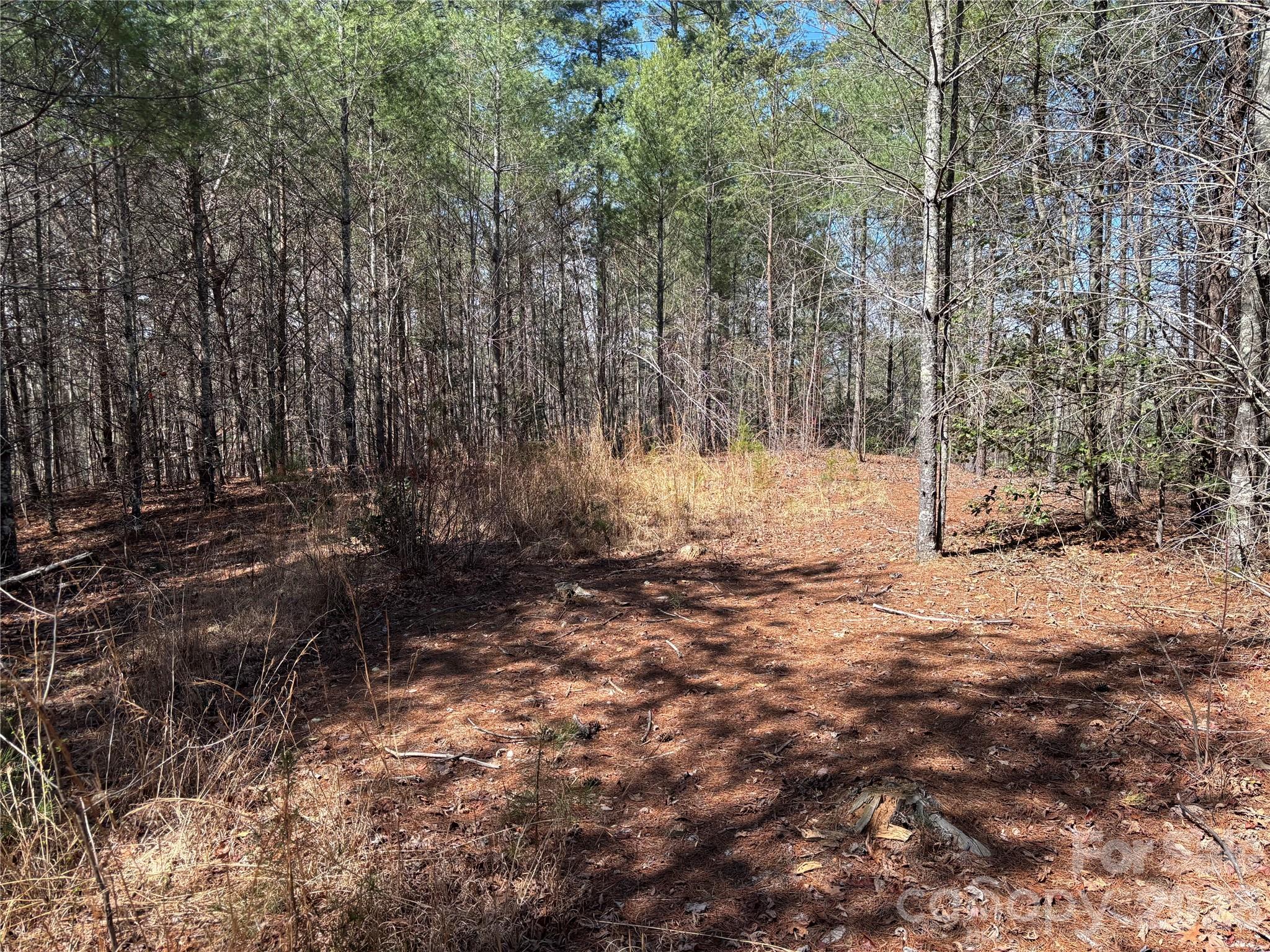 2042 Shadow Ridge Trail Lenoir NC 28645
