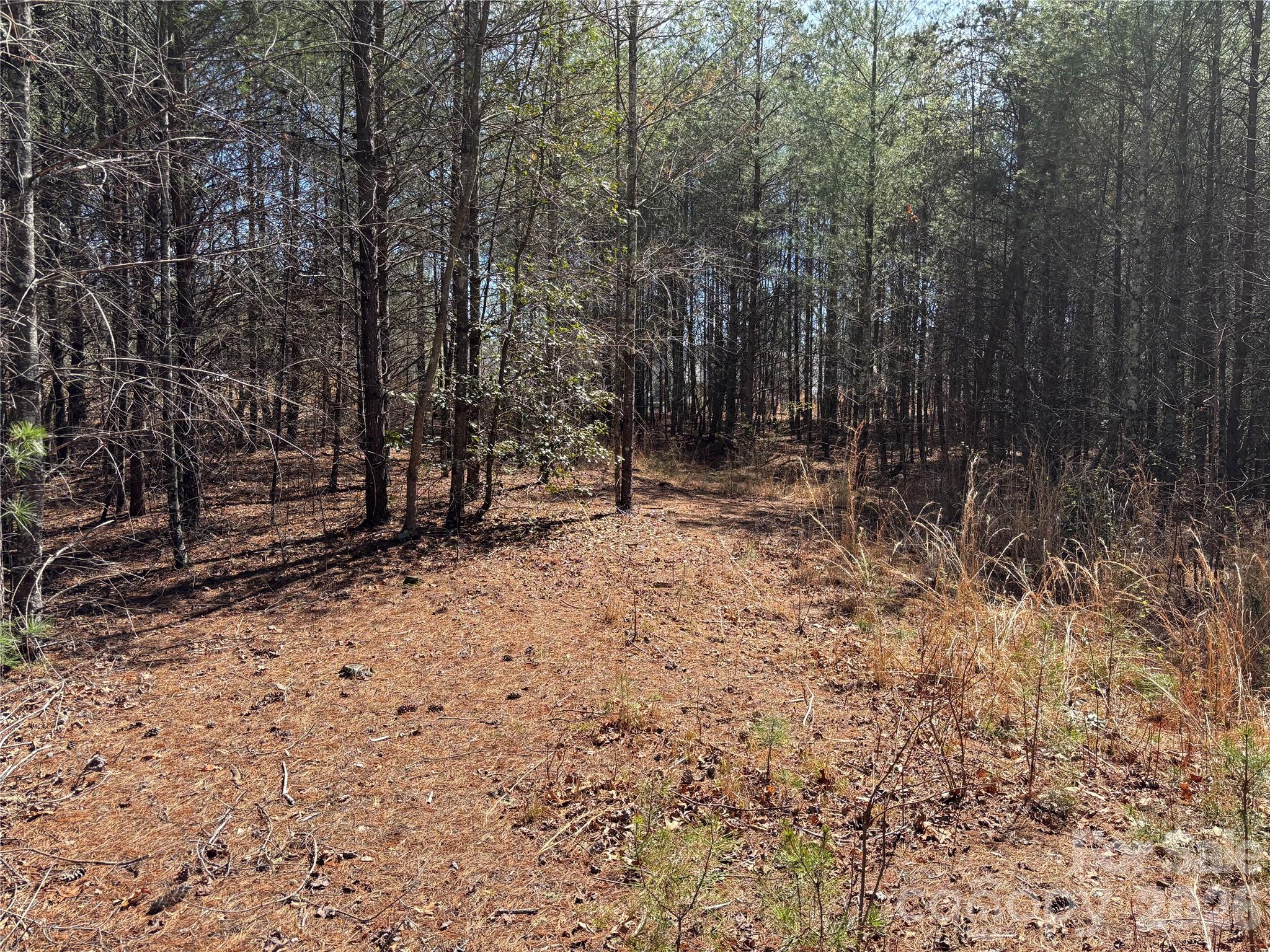 2042 Shadow Ridge Trail Lenoir NC 28645