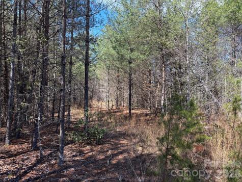 2042 Shadow Ridge Trail Lenoir NC 28645