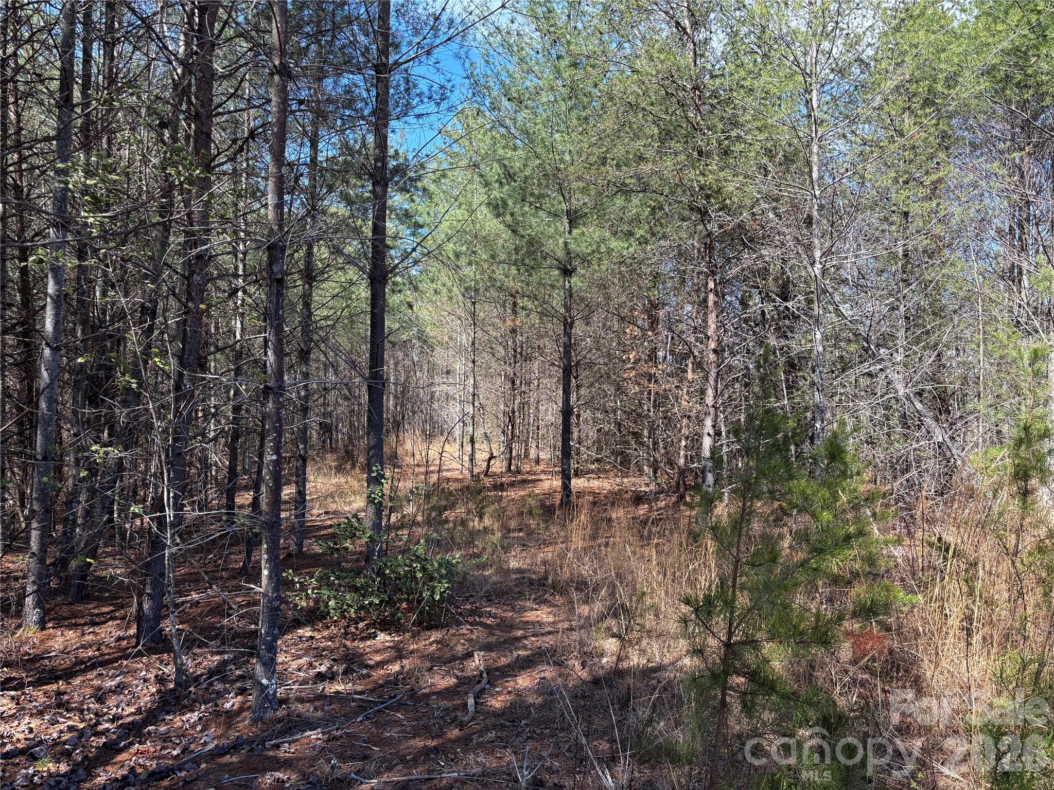 2042 Shadow Ridge Trail Lenoir NC 28645