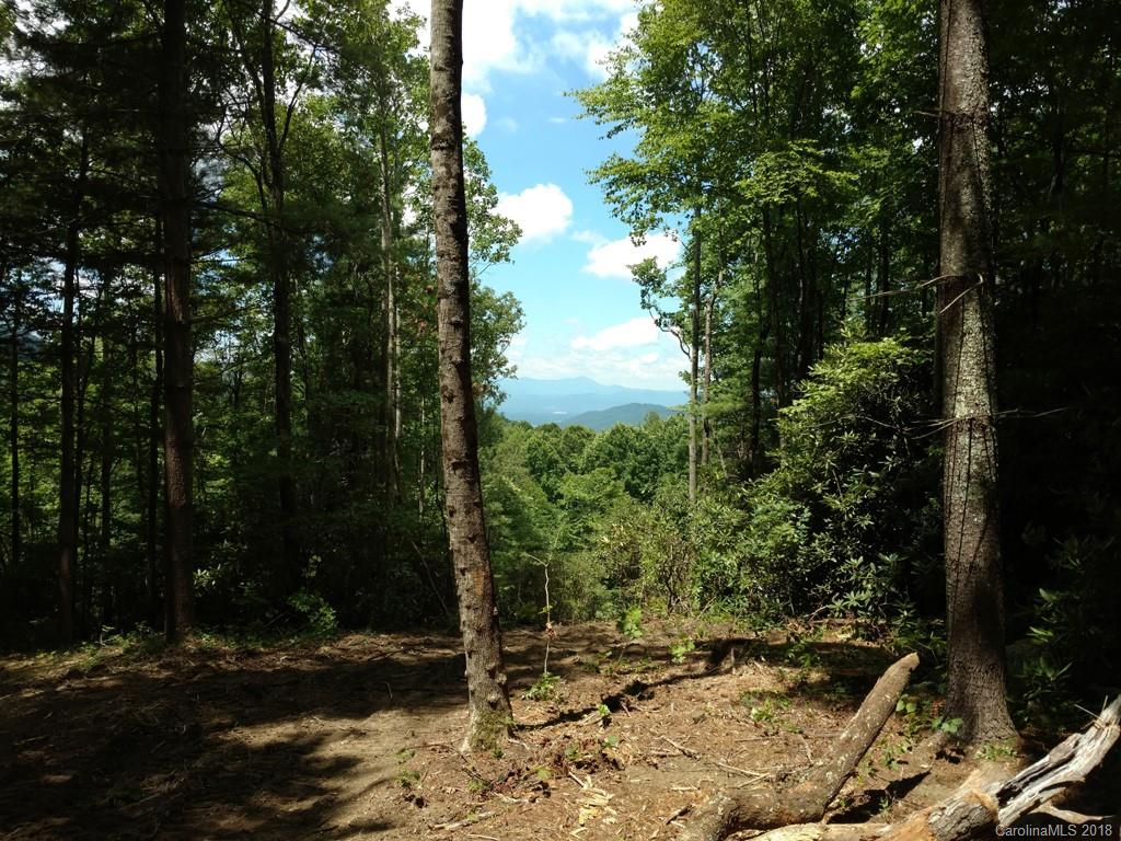 764 Dancing Bear Drive Hendersonville NC 28792