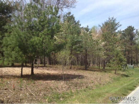 105 Brookhollow Drive Flat Rock NC 28731