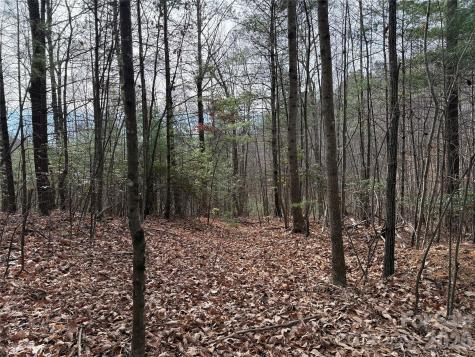 Tbd Buck Mountain Road Purlear NC 28665