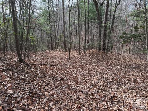 Tbd Buck Mountain Road Purlear NC 28665