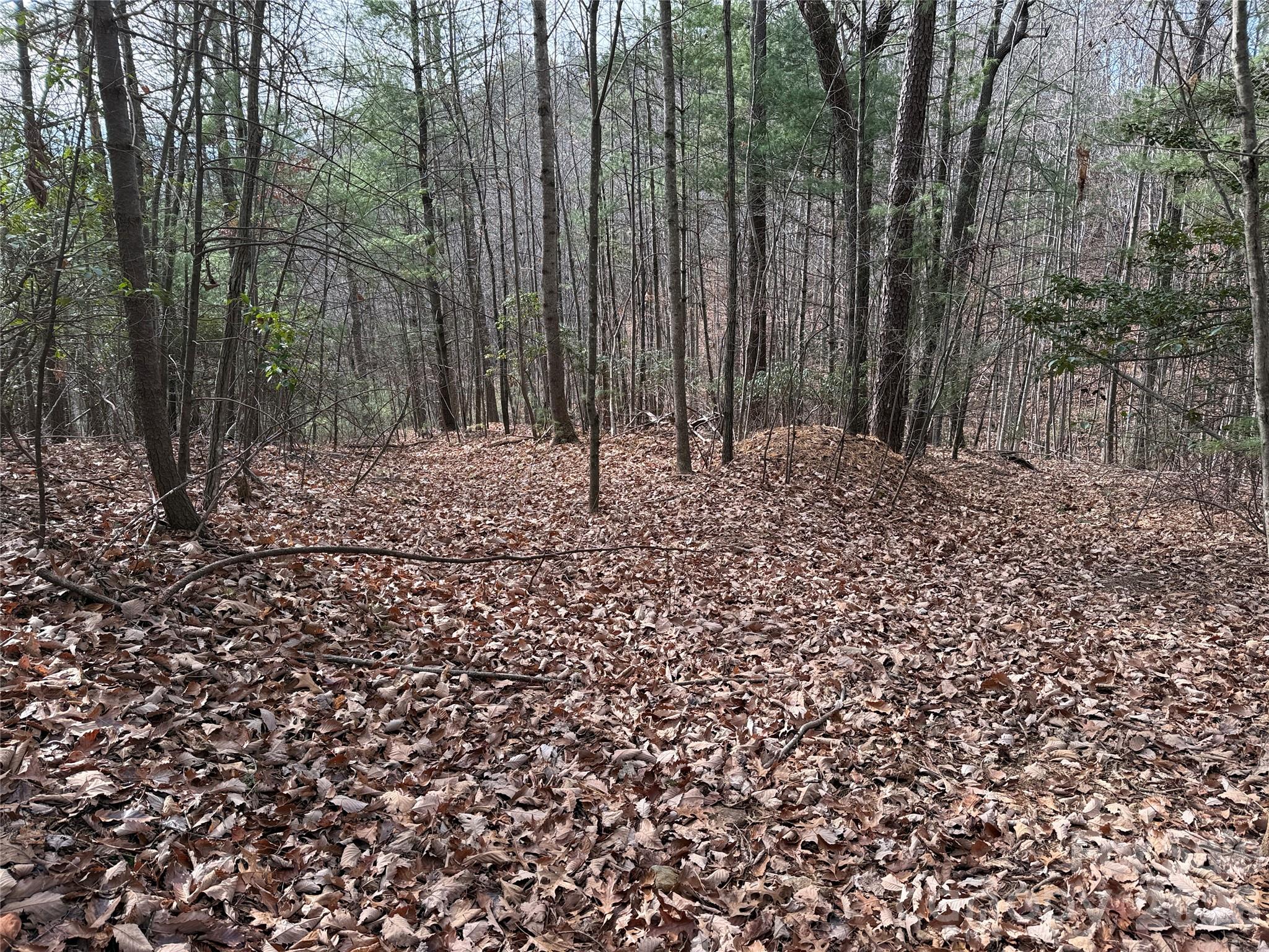 Tbd Buck Mountain Road Purlear NC 28665