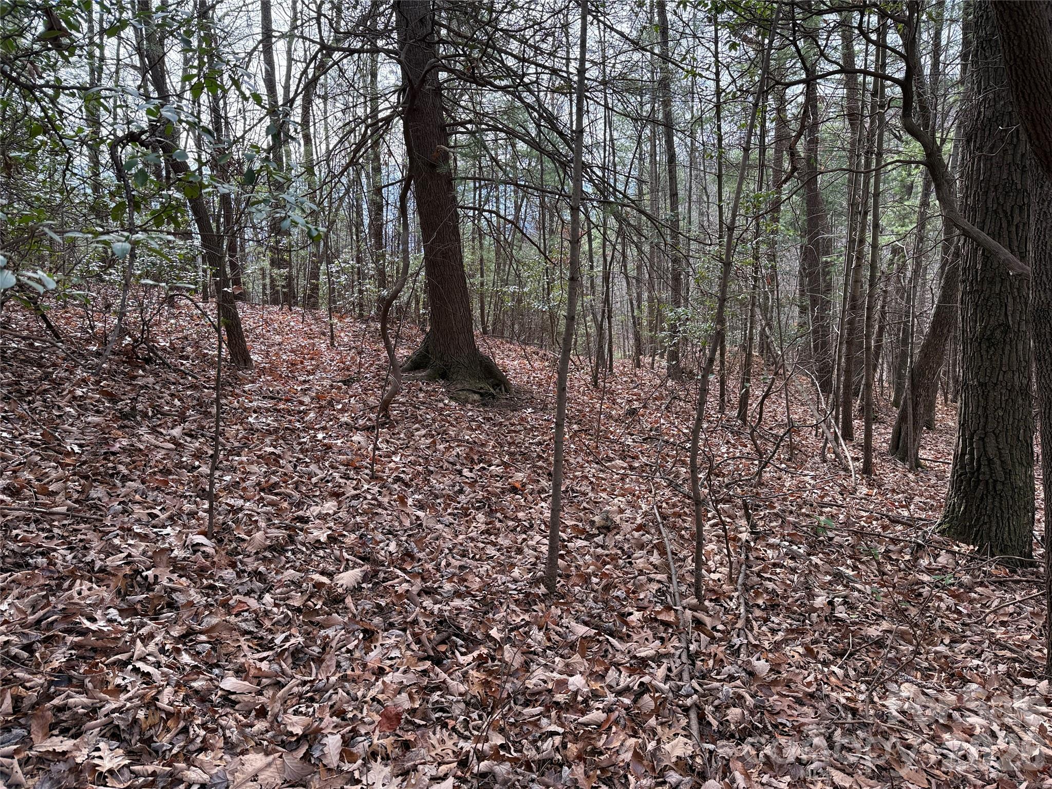 Tbd Buck Mountain Road Purlear NC 28665