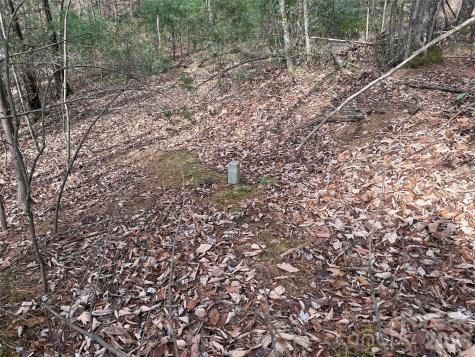 Tbd Buck Mountain Road Purlear NC 28665