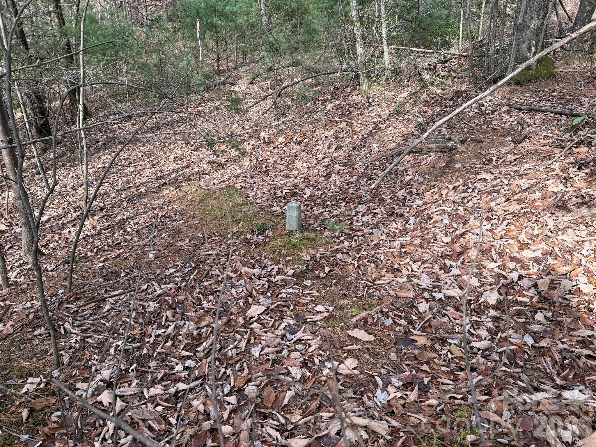 Tbd Buck Mountain Road Purlear NC 28665
