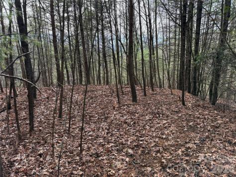 Tbd Buck Mountain Road Purlear NC 28665