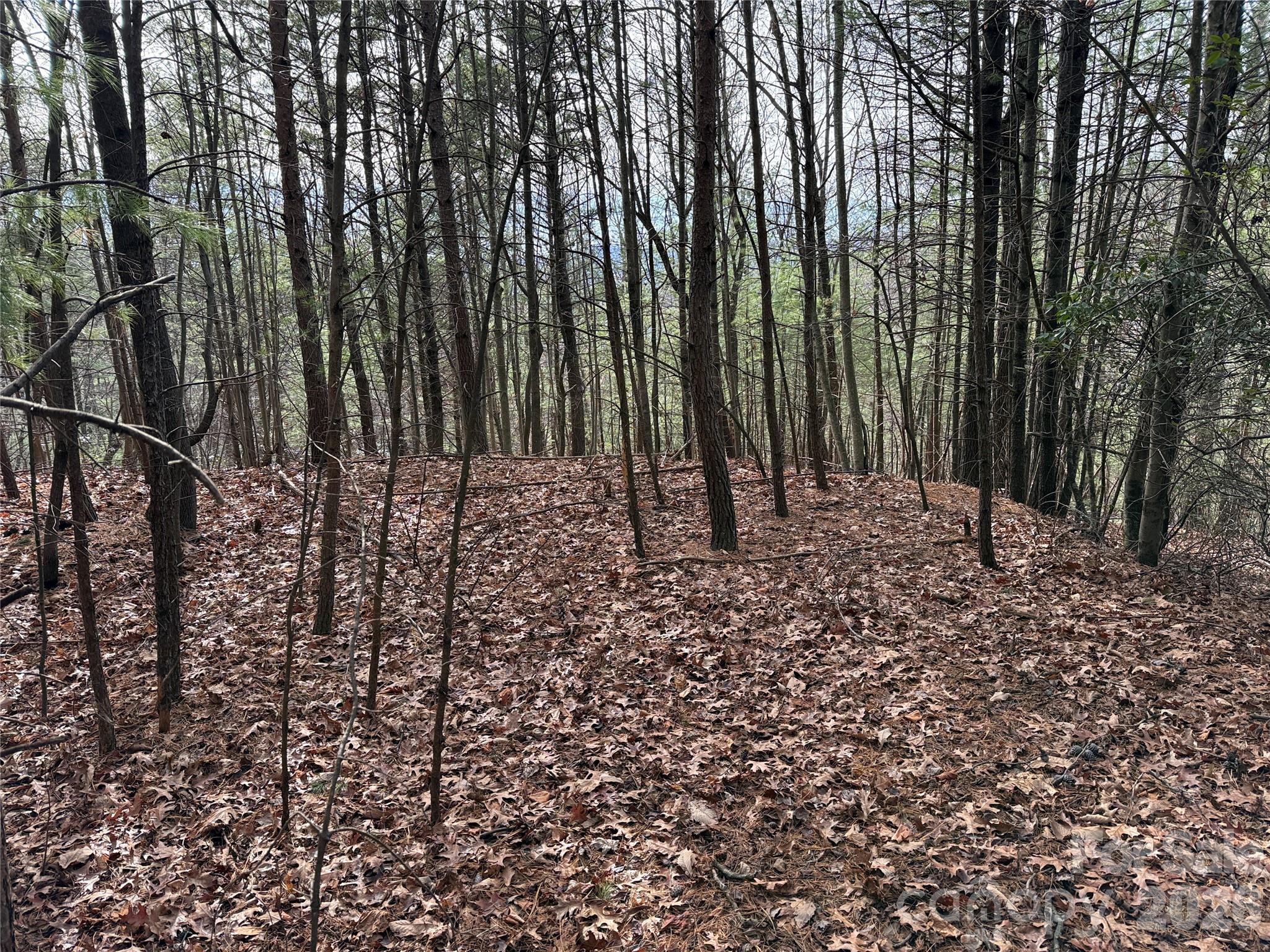 Tbd Buck Mountain Road Purlear NC 28665