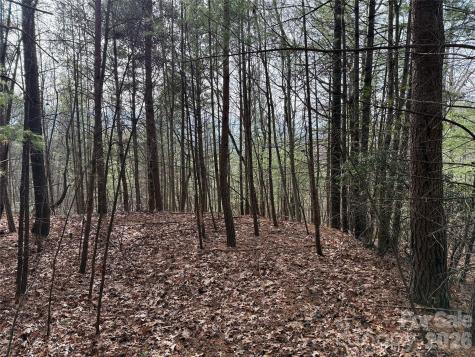 Tbd Buck Mountain Road Purlear NC 28665