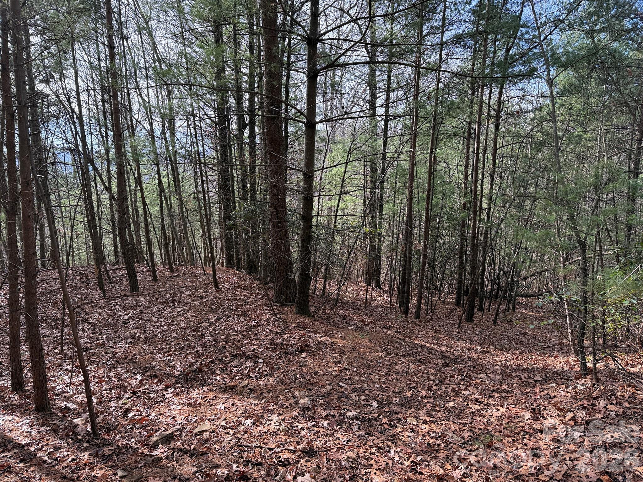 Tbd Buck Mountain Road Purlear NC 28665