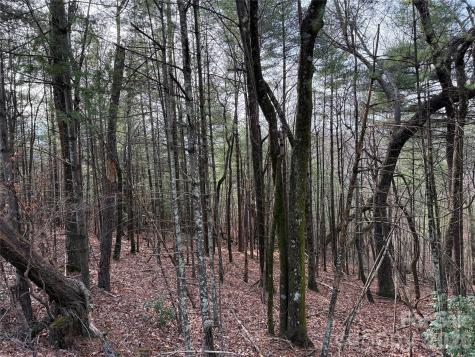 Tbd Buck Mountain Road Purlear NC 28665