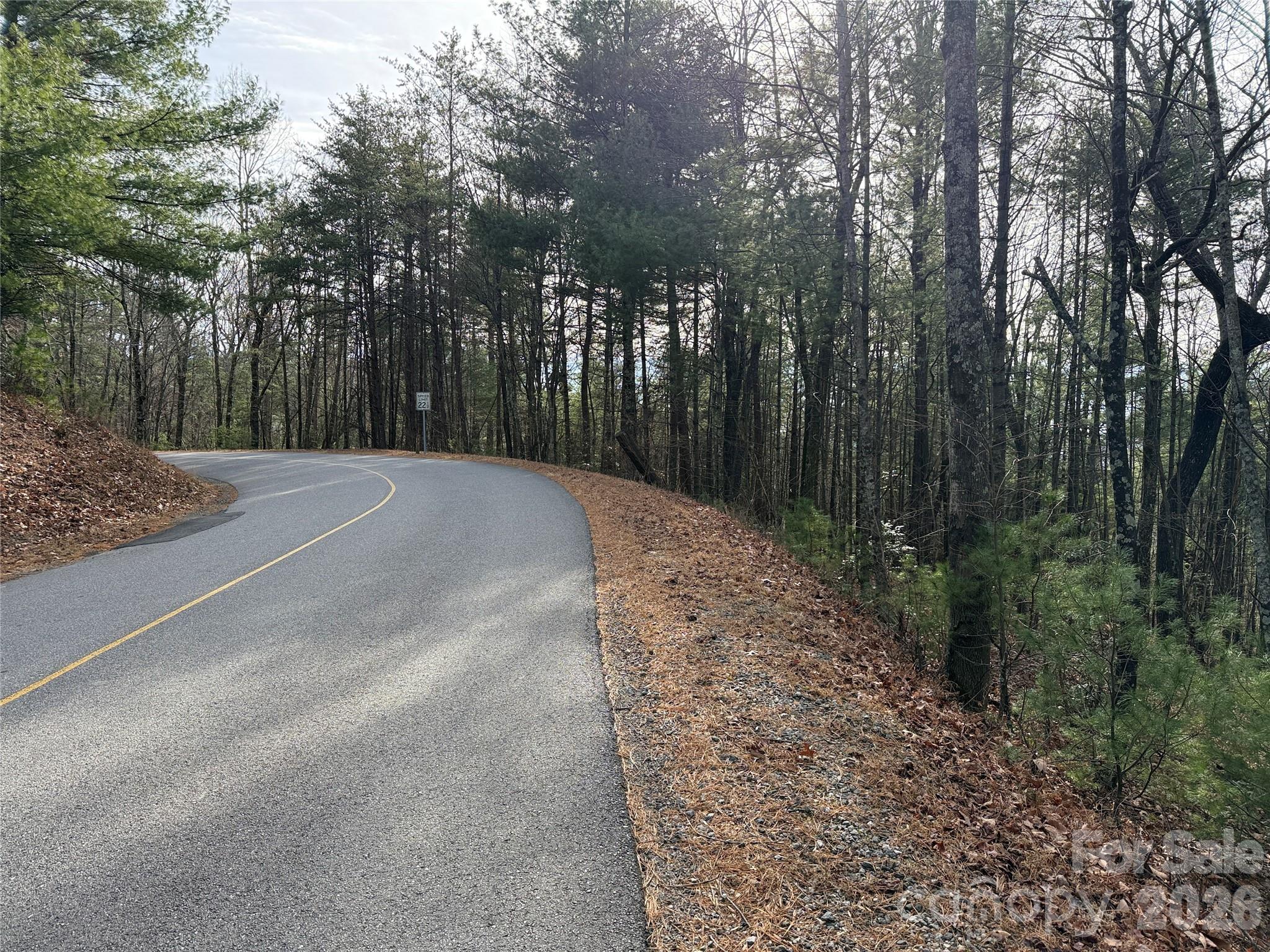 Tbd Buck Mountain Road Purlear NC 28665