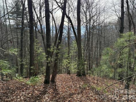 Tbd Buck Mountain Road Purlear NC 28665