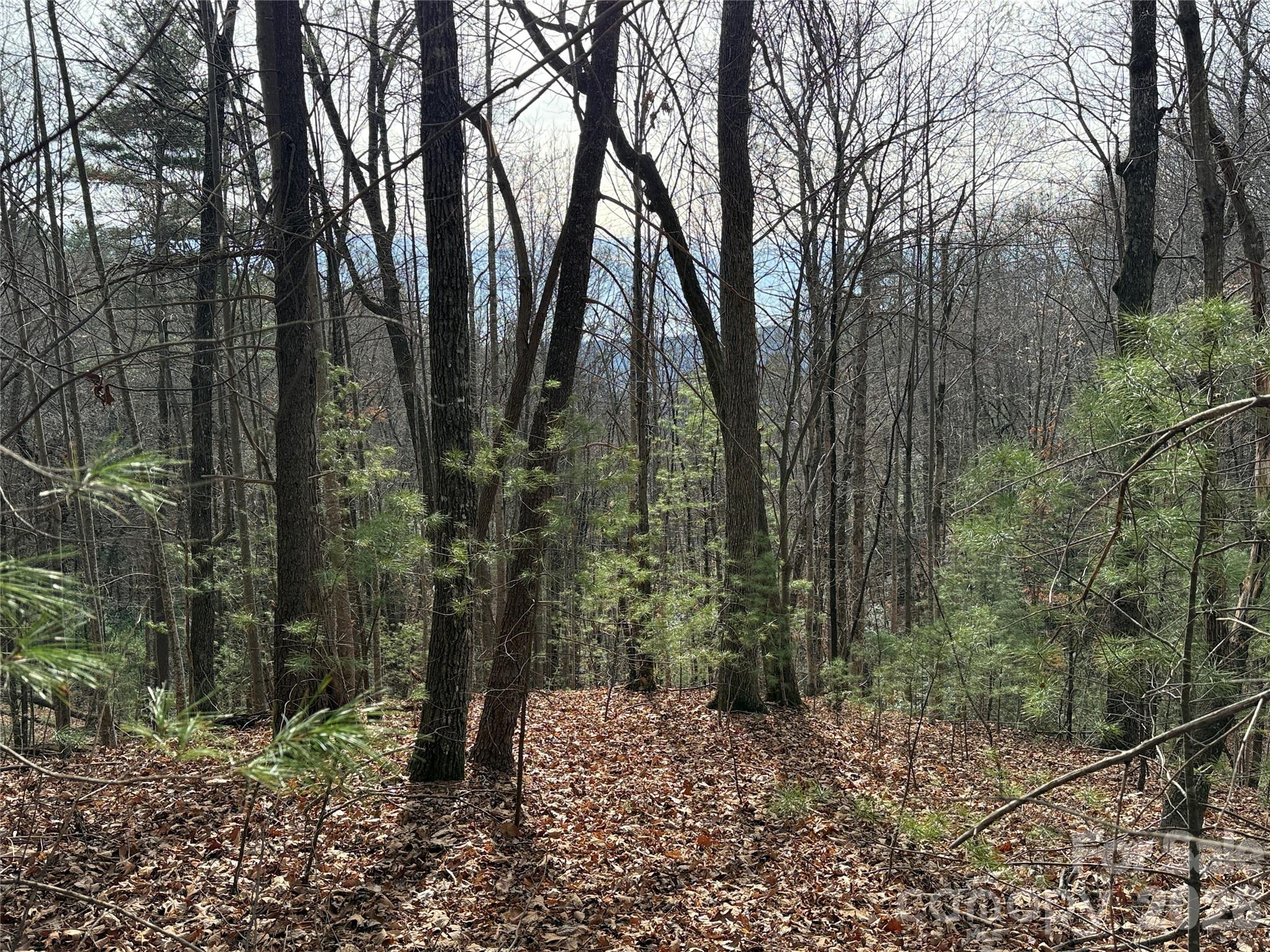 Tbd Buck Mountain Road Purlear NC 28665