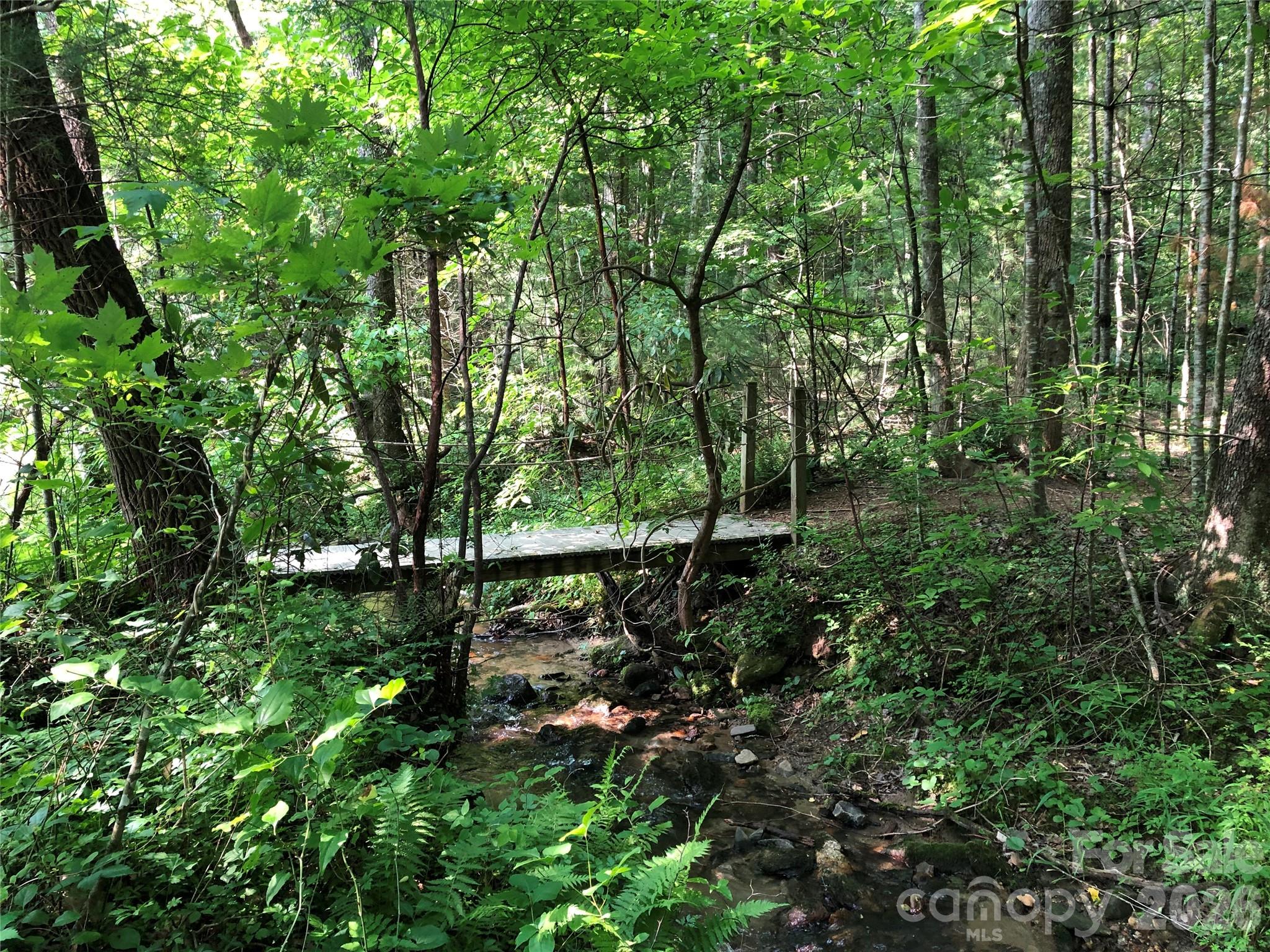 Tbd Buck Mountain Road Purlear NC 28665