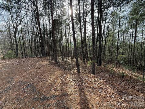 Tbd Buck Mountain Road Purlear NC 28665