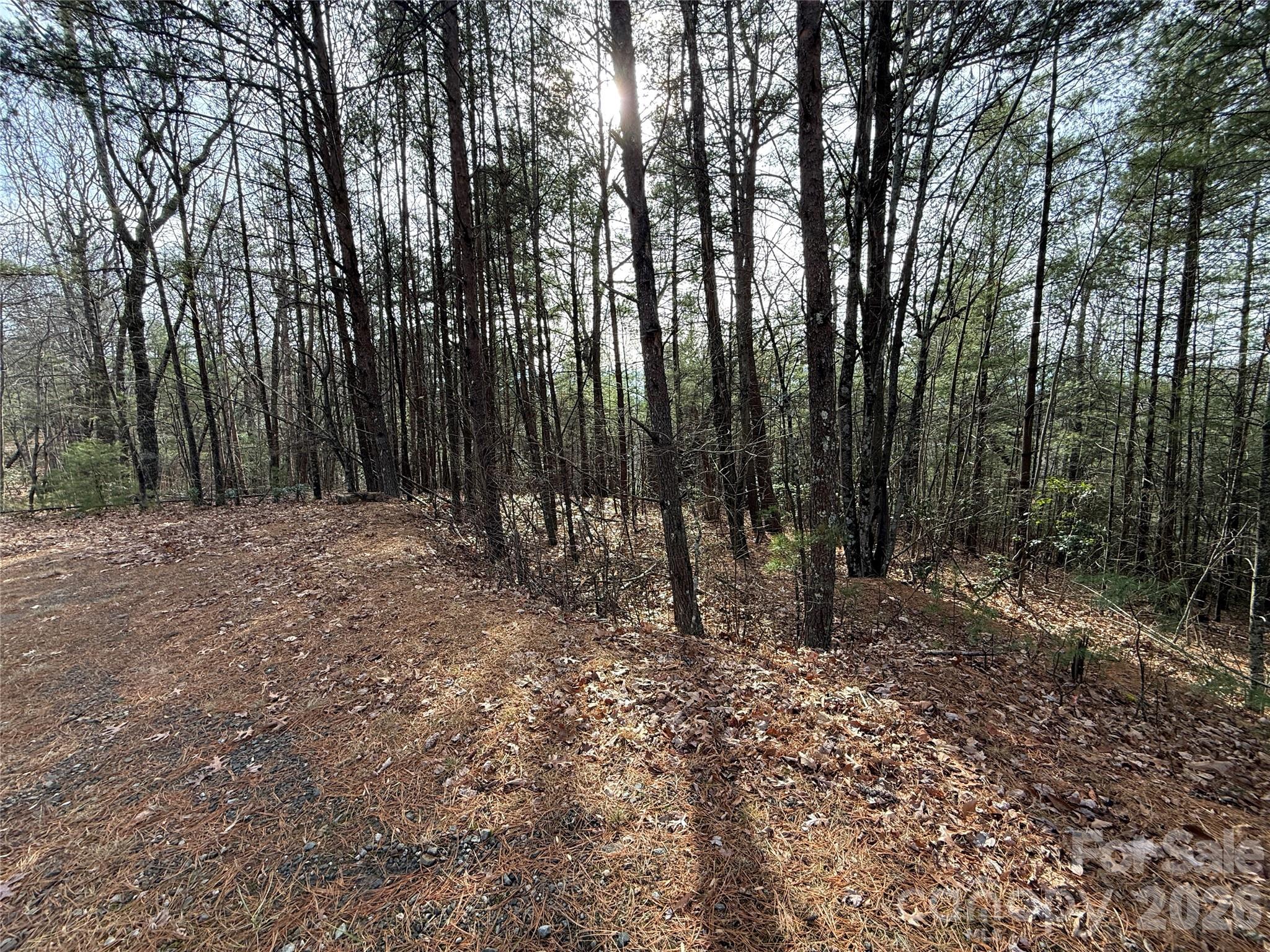 Tbd Buck Mountain Road Purlear NC 28665