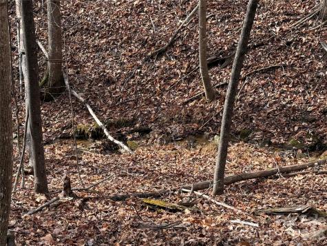 Tbd Buck Mountain Road Purlear NC 28665