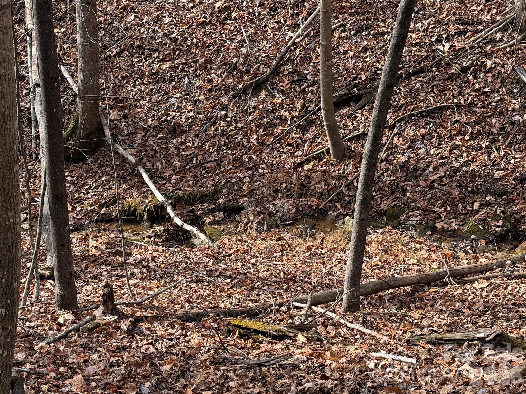 Tbd Buck Mountain Road Purlear NC 28665