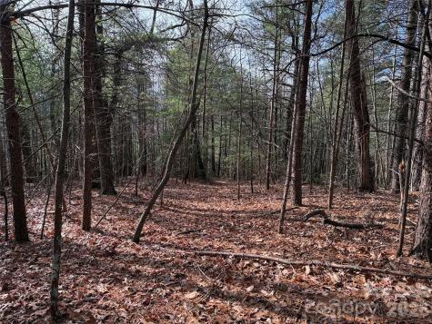 Tbd Buck Mountain Road Purlear NC 28665