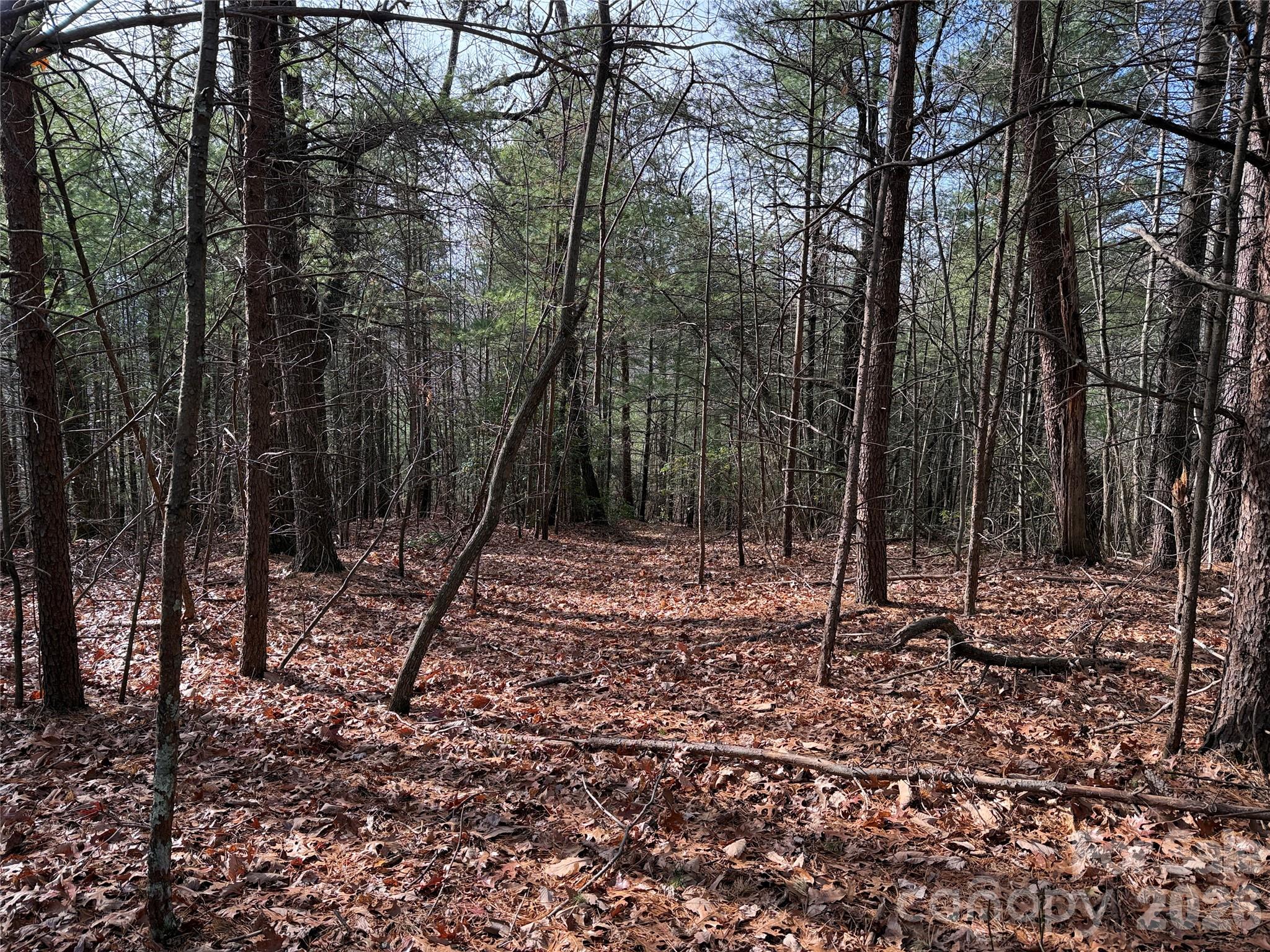 Tbd Buck Mountain Road Purlear NC 28665