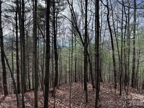 Tbd Buck Mountain Road Purlear NC 28665