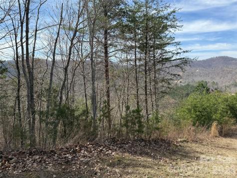 Lot 165 Pinegrove Drive Bostic NC 28018