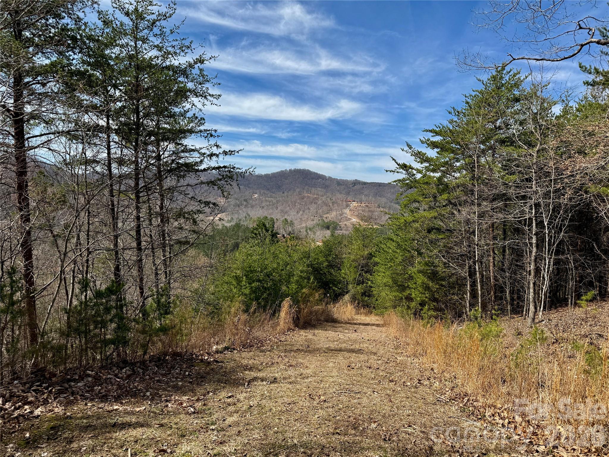 Lot 165 Pinegrove Drive Bostic NC 28018