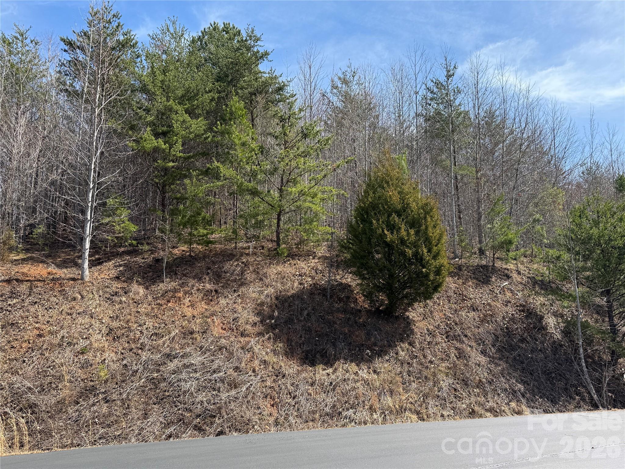 Lot 165 Pinegrove Drive Bostic NC 28018