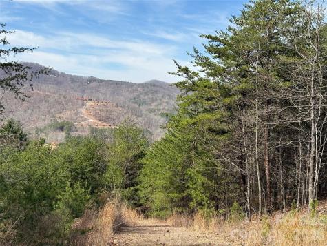 Lot 165 Pinegrove Drive Bostic NC 28018