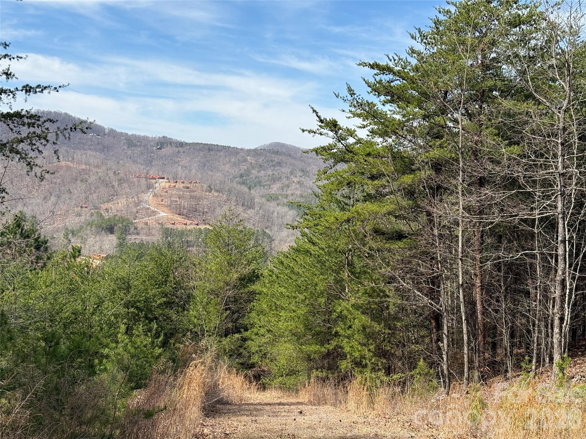Lot 165 Pinegrove Drive Bostic NC 28018