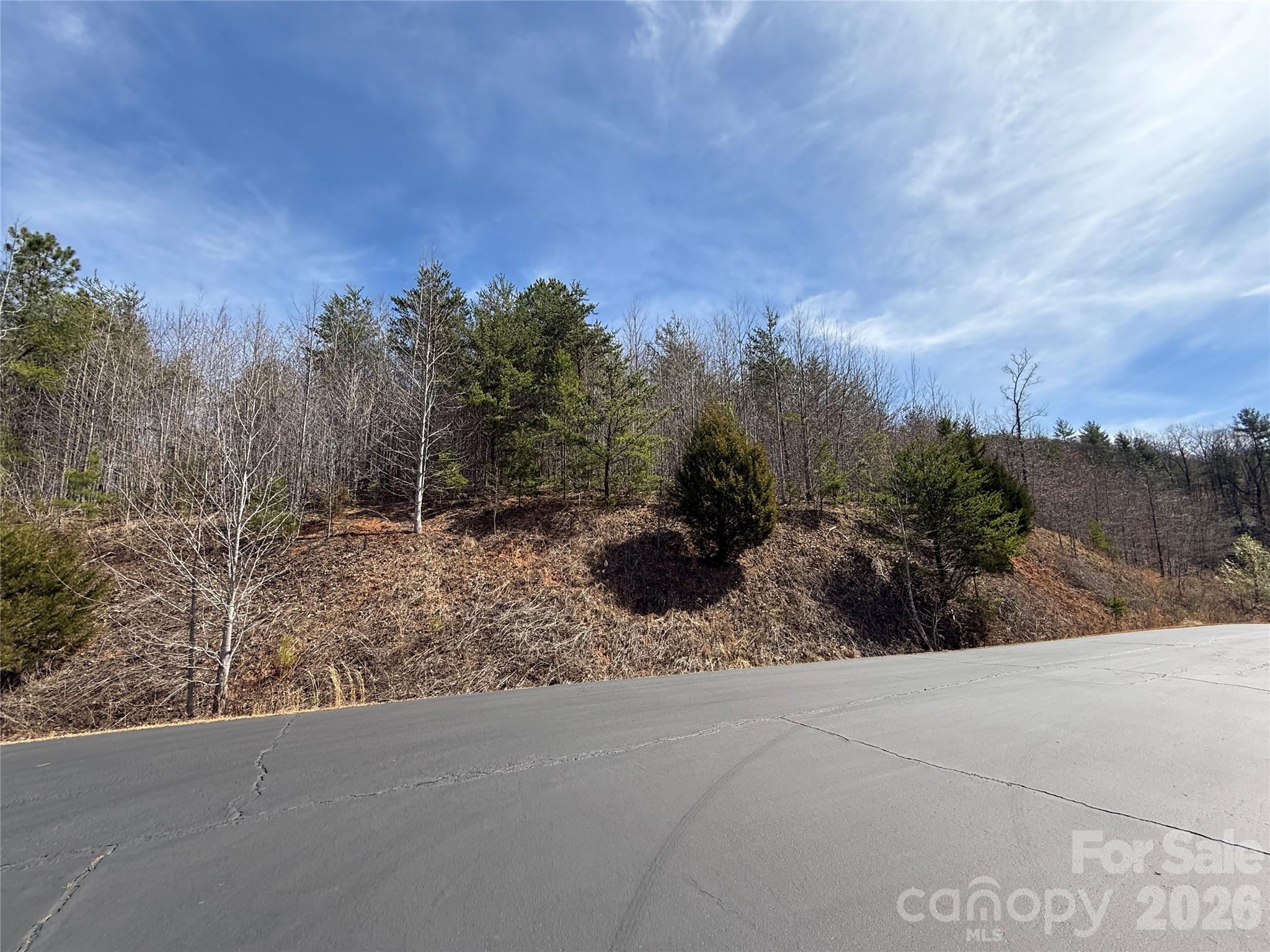 Lot 165 Pinegrove Drive Bostic NC 28018
