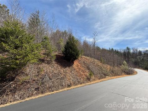 Lot 165 Pinegrove Drive Bostic NC 28018