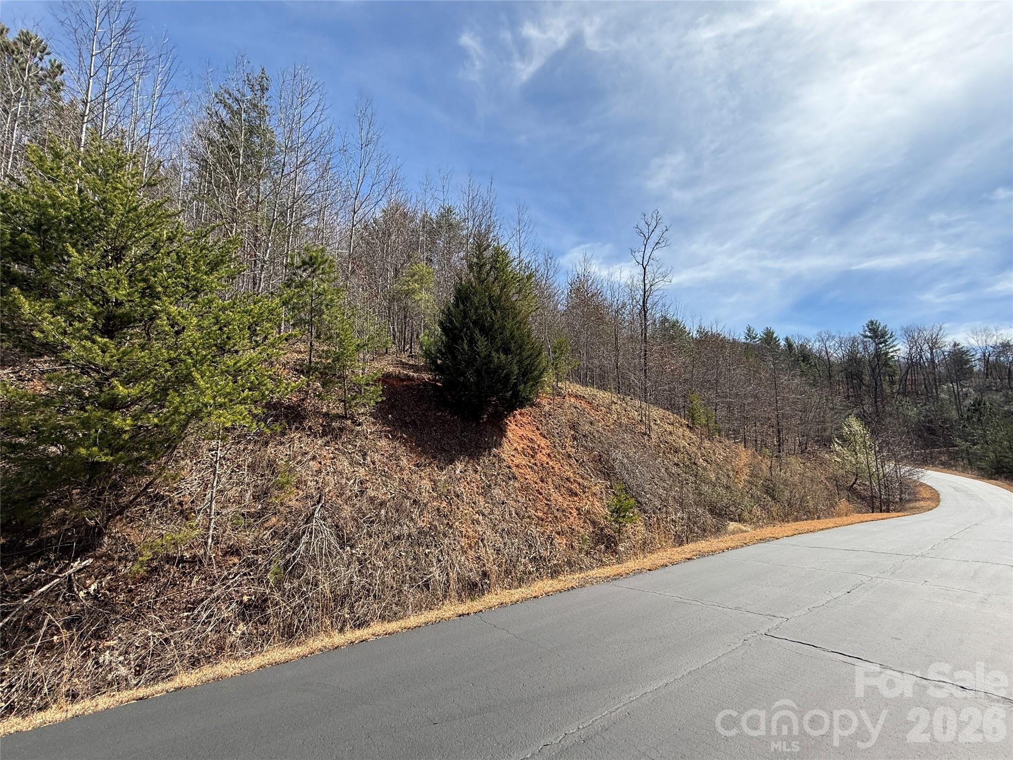Lot 165 Pinegrove Drive Bostic NC 28018