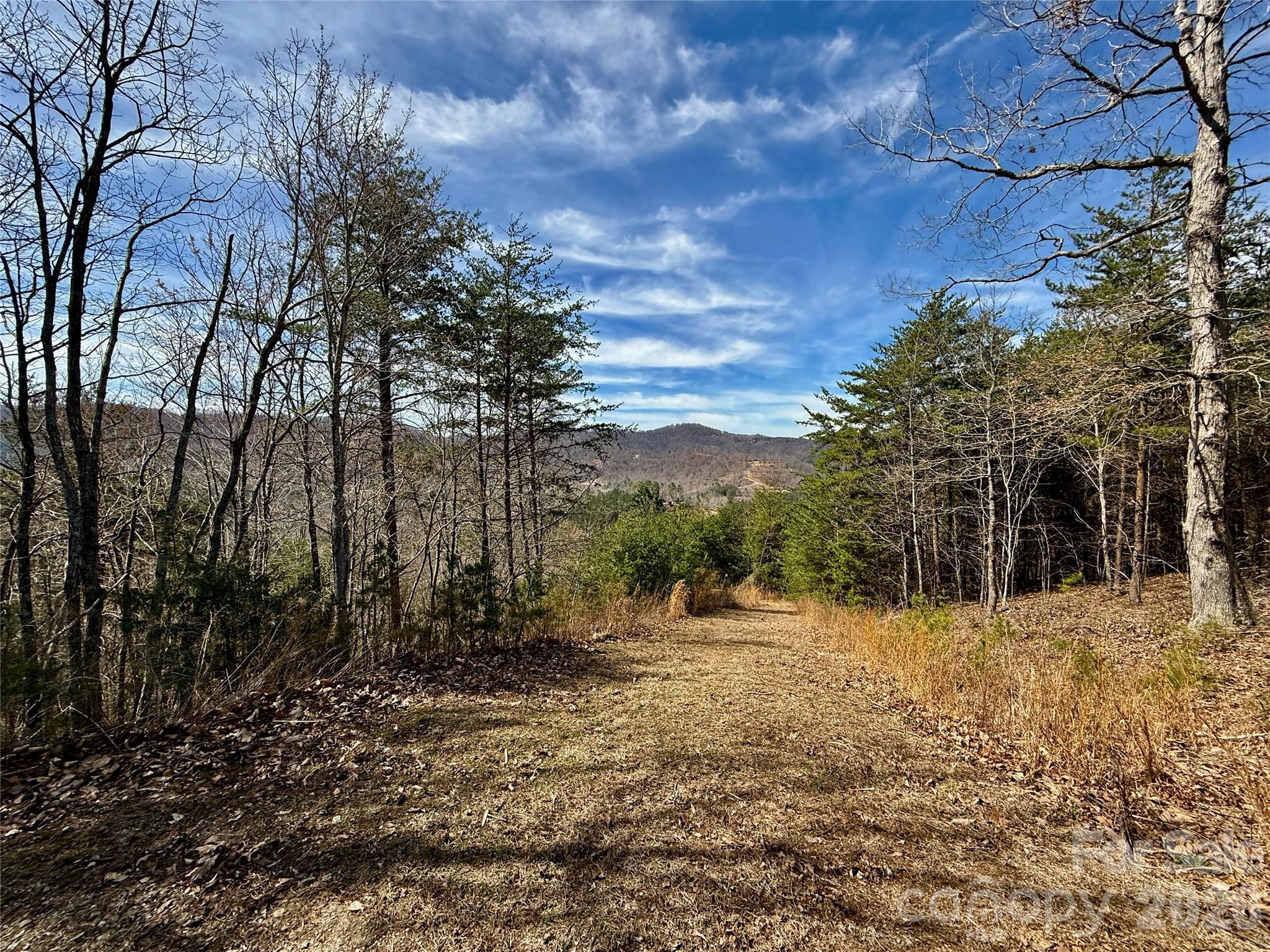 Lot 165 Pinegrove Drive Bostic NC 28018