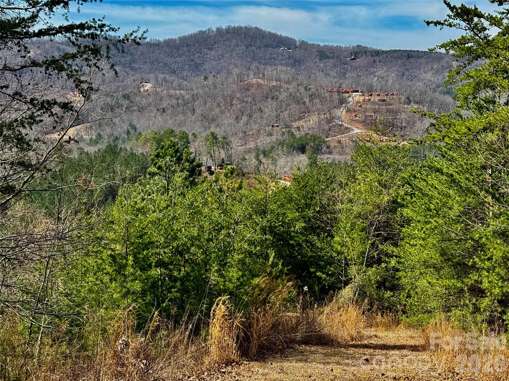Lot 165 Pinegrove Drive Bostic NC 28018