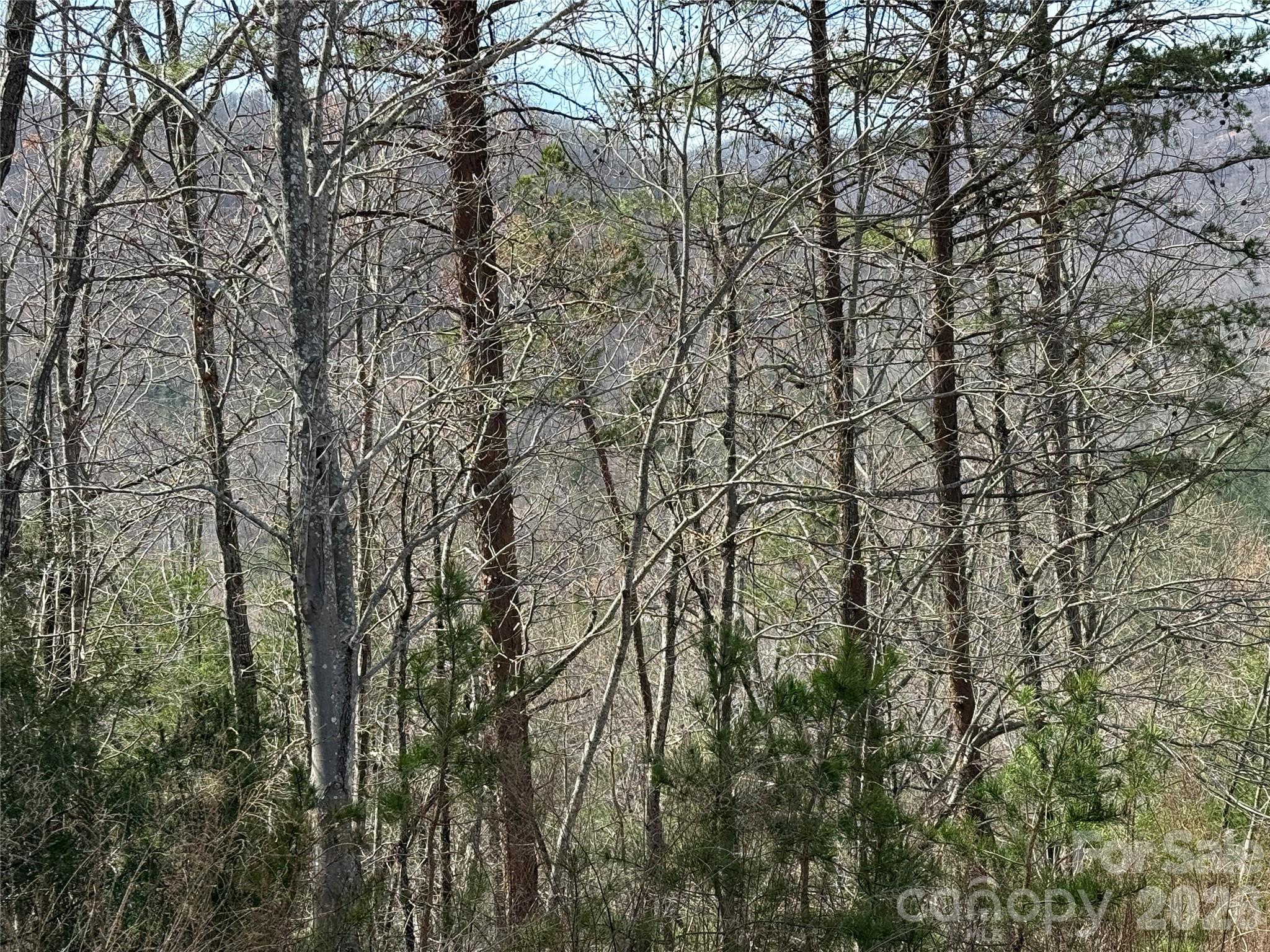 Lot 165 Pinegrove Drive Bostic NC 28018