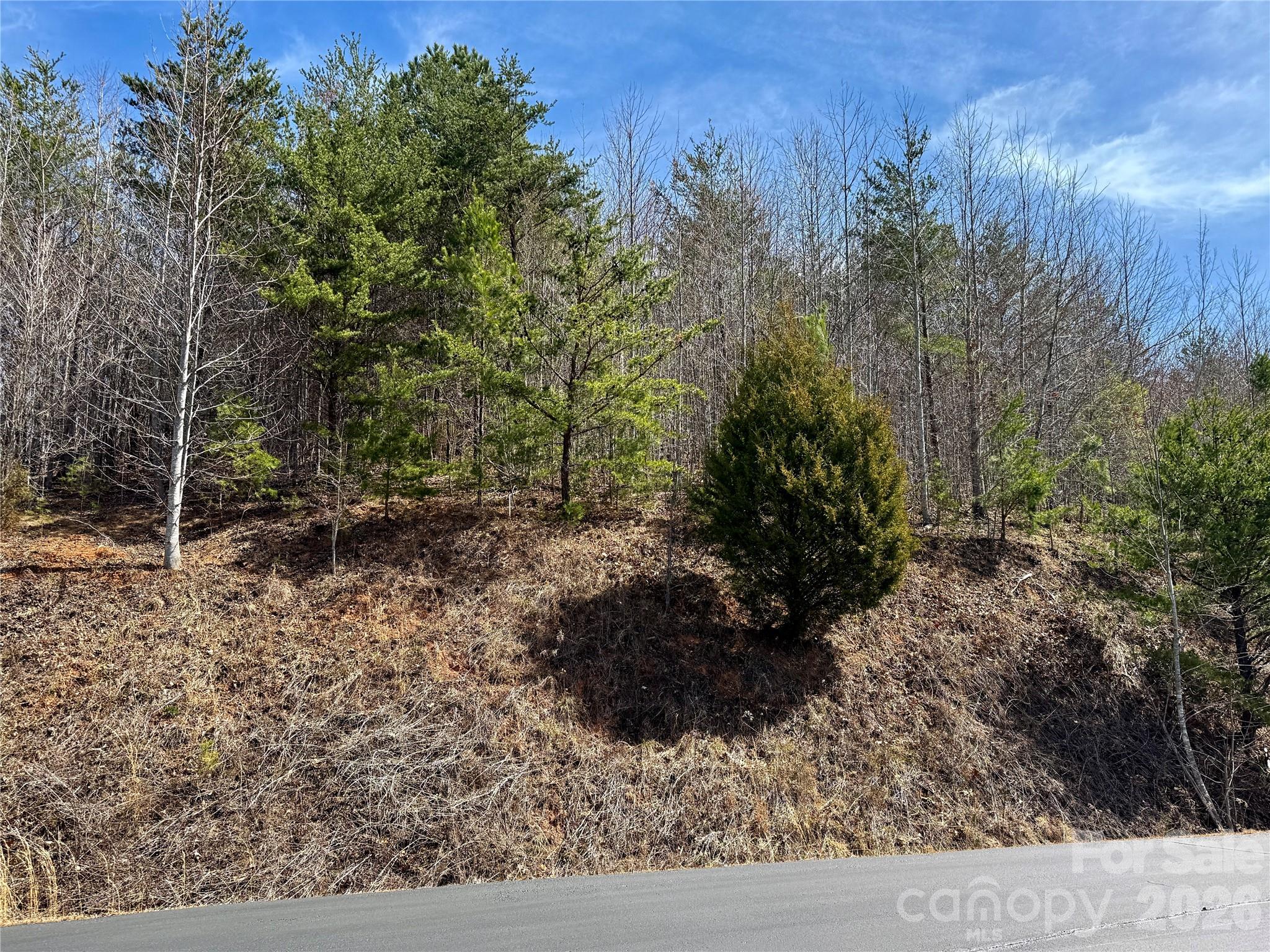 Lot 165 Pinegrove Drive Bostic NC 28018