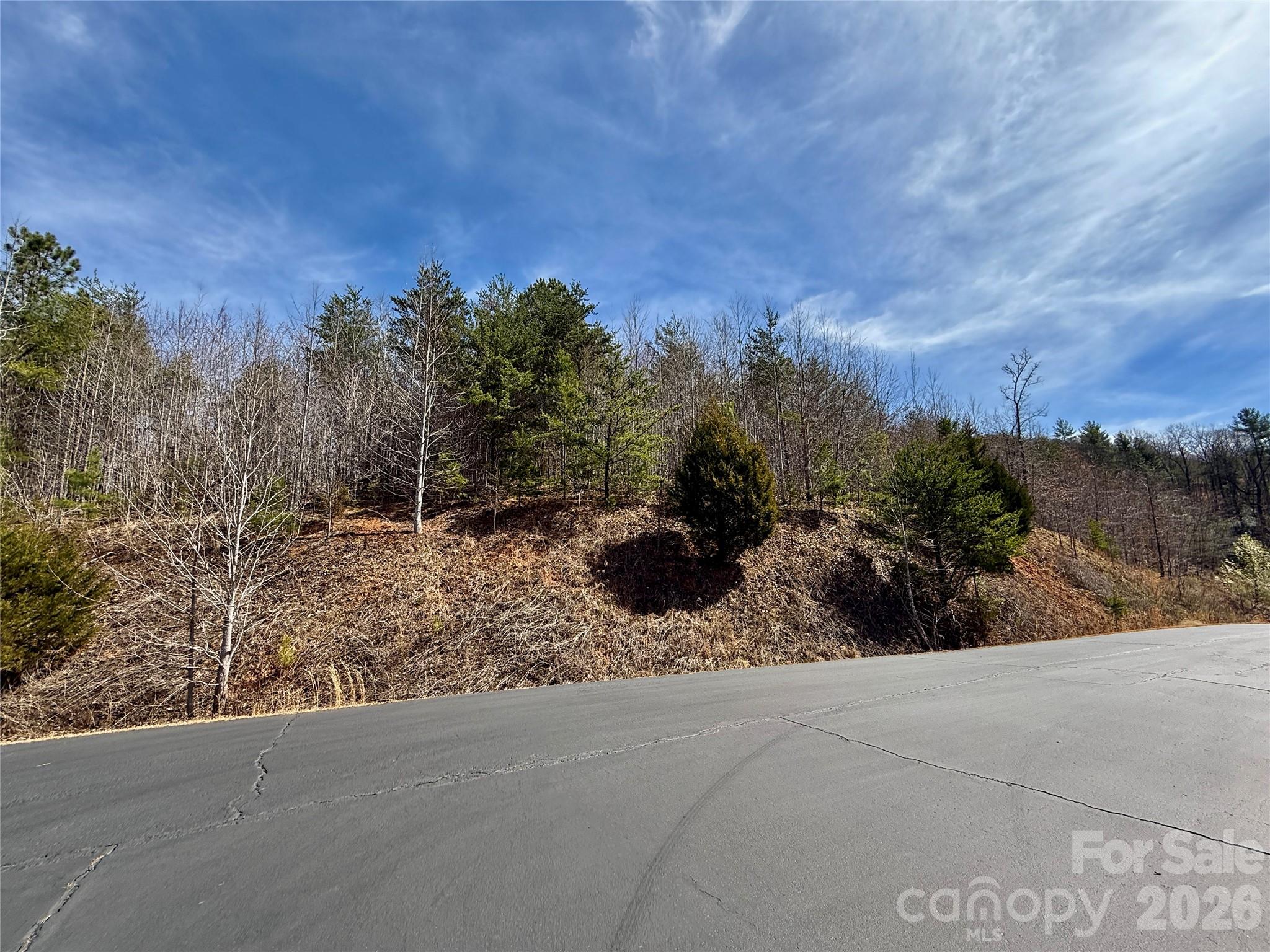 Lot 165 Pinegrove Drive Bostic NC 28018