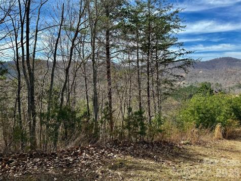 Lot 165 Pinegrove Drive Bostic NC 28018