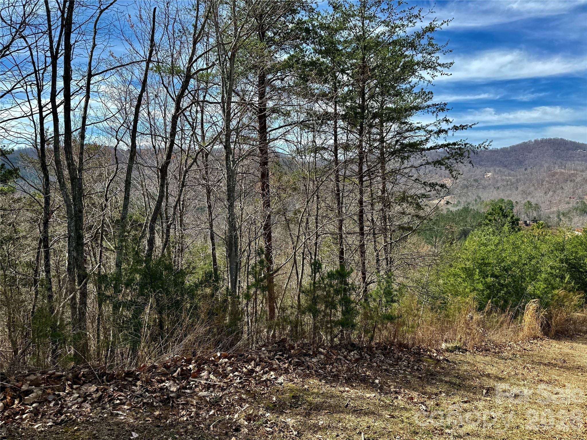 Lot 165 Pinegrove Drive Bostic NC 28018
