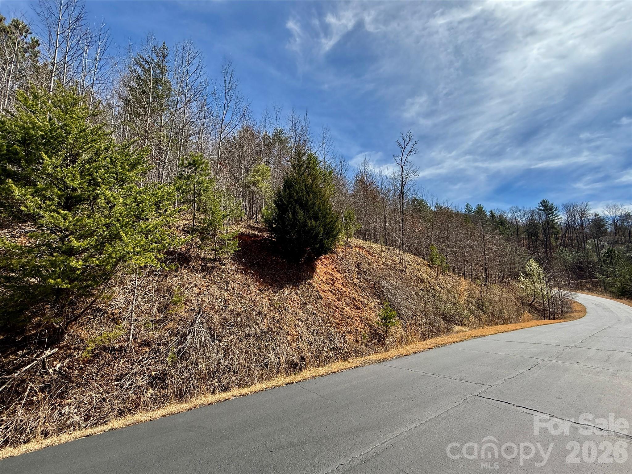 Lot 165 Pinegrove Drive Bostic NC 28018