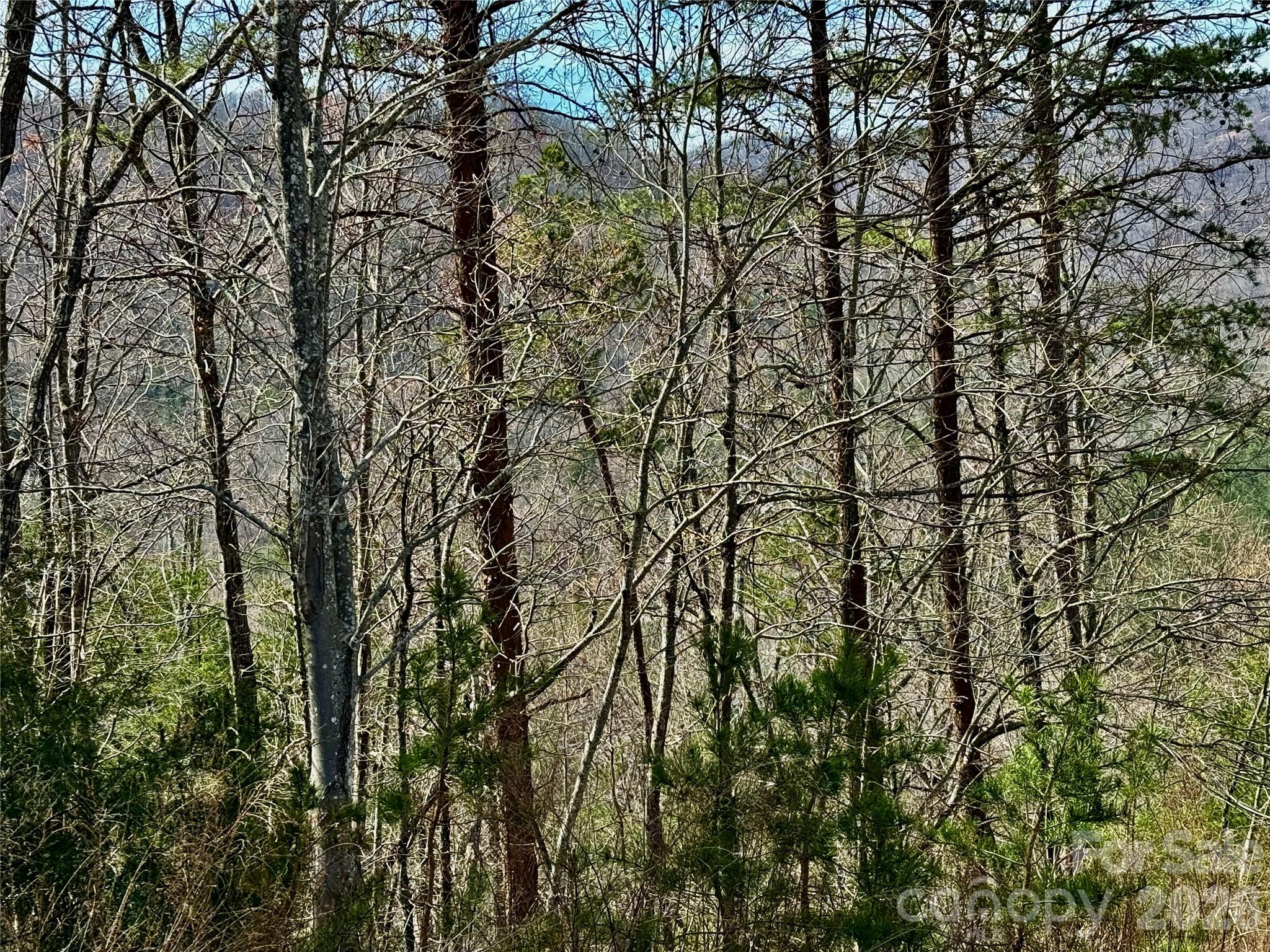Lot 165 Pinegrove Drive Bostic NC 28018