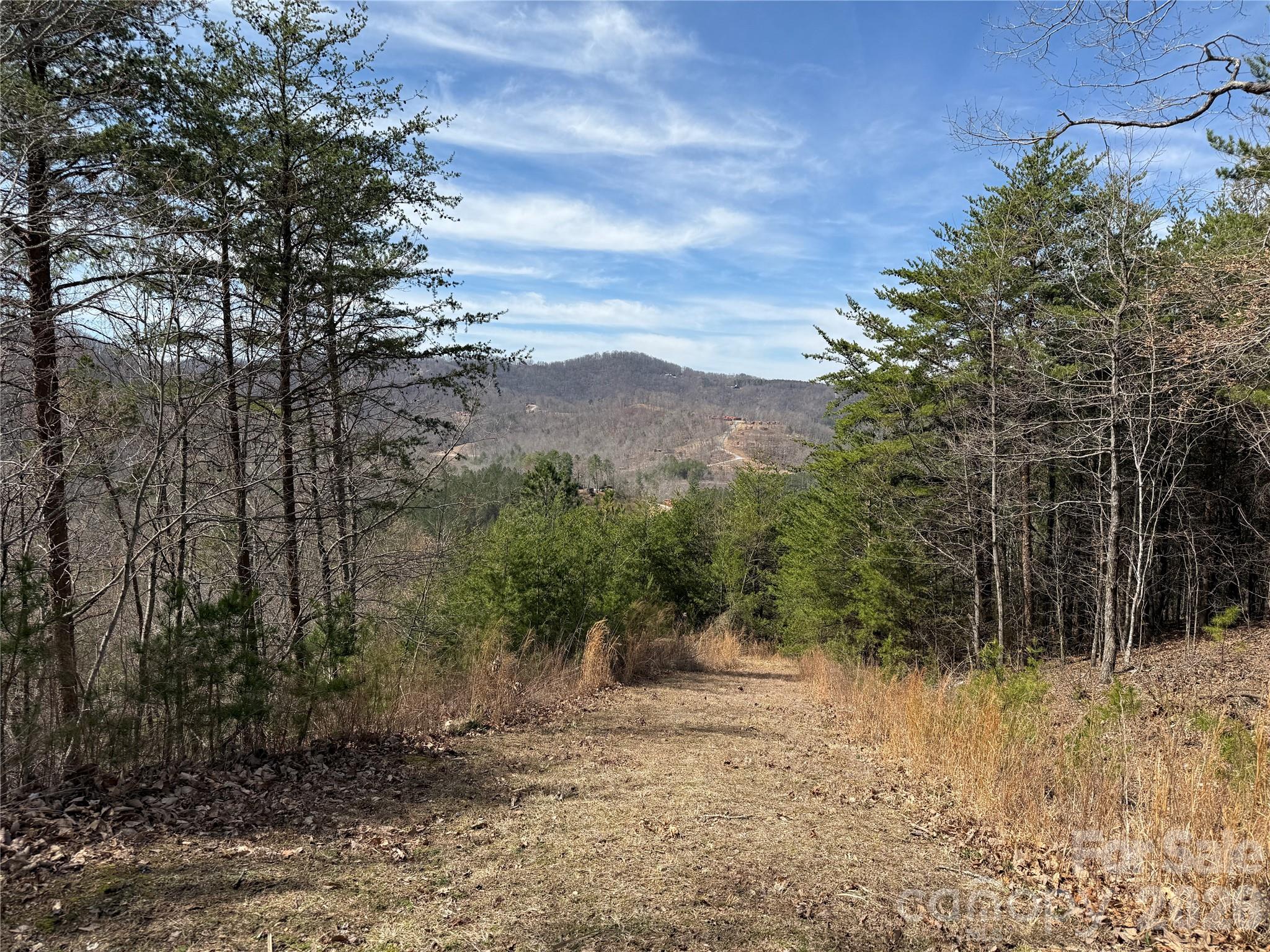 Lot 165 Pinegrove Drive Bostic NC 28018