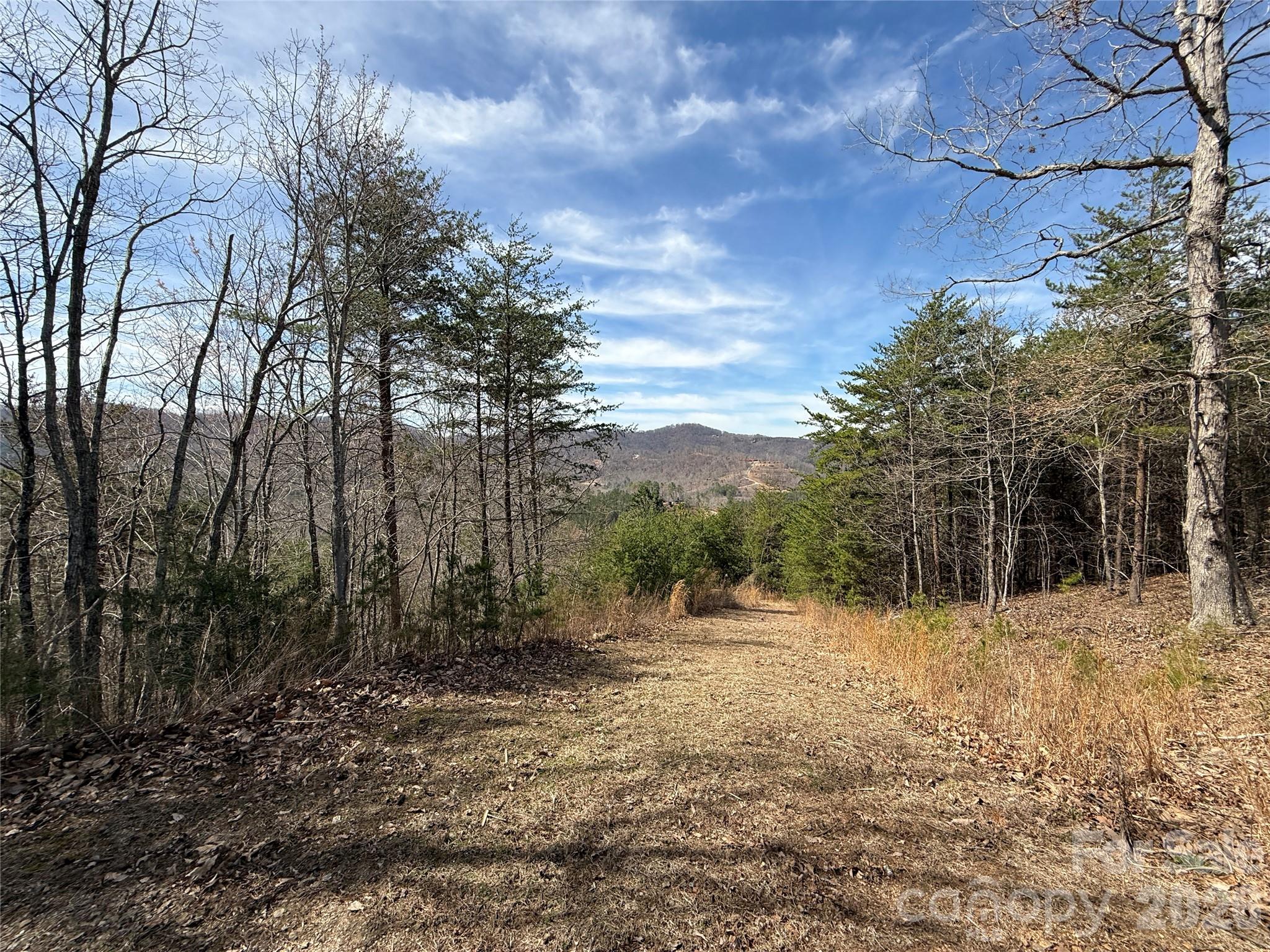 Lot 165 Pinegrove Drive Bostic NC 28018